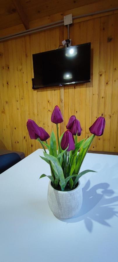 Cabanas Antawara Uspallata Buitenkant foto